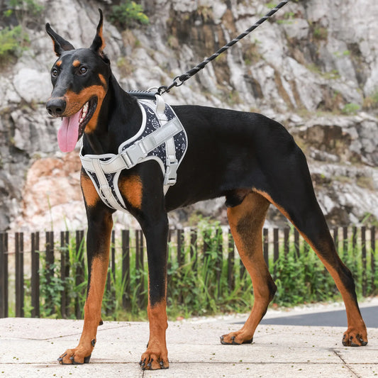 The "Space Patrol" No pull harness | All-size-dogs