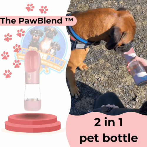 Dog Water Bottle & Feeder Dispenser